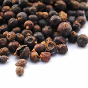Juniper Berries – Forbes Wild Foods